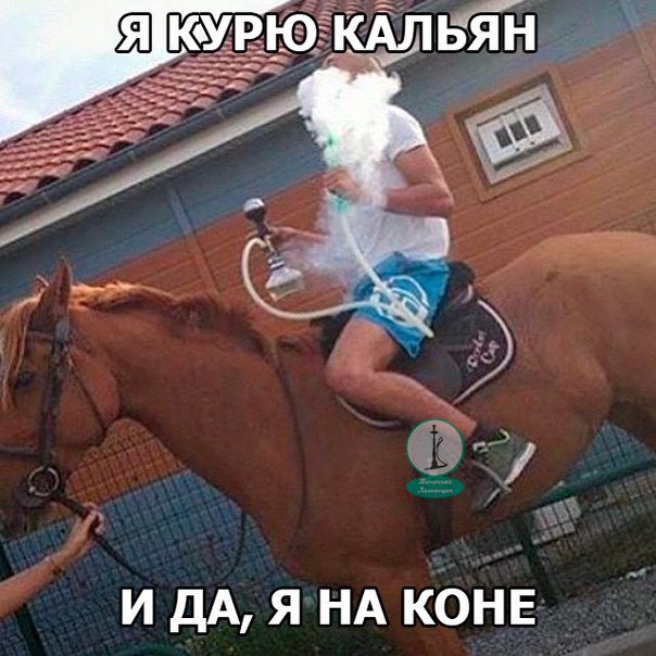 наркотики конь